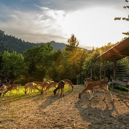 Gasthof-pension Silvia Πανσιόν