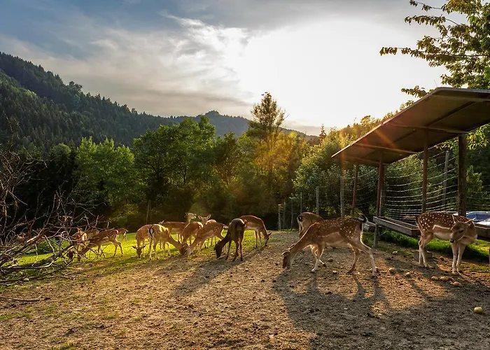 Gasthof-pension Silvia Vendégház
